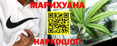 МДПВ Гатчина
