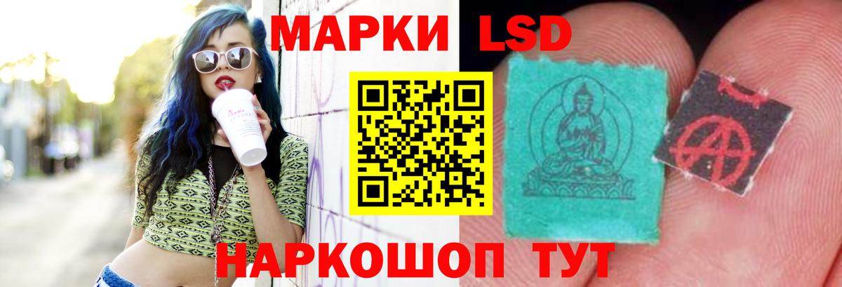 Бошки Шишки Камышлов
