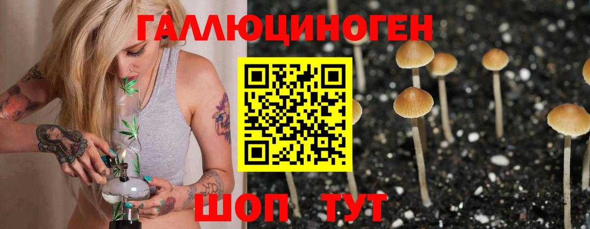 Галлюциногенные грибы MAGIC MUSHROOMS Камышлов