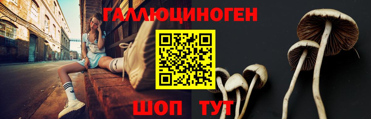 Псилоцибиновые грибы Magic Shrooms  Вход с VPN  Камышлов 